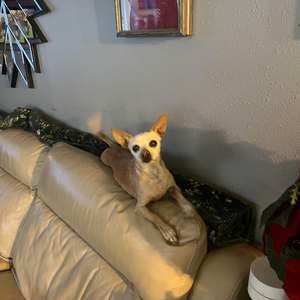 Meet your Posher, Esther